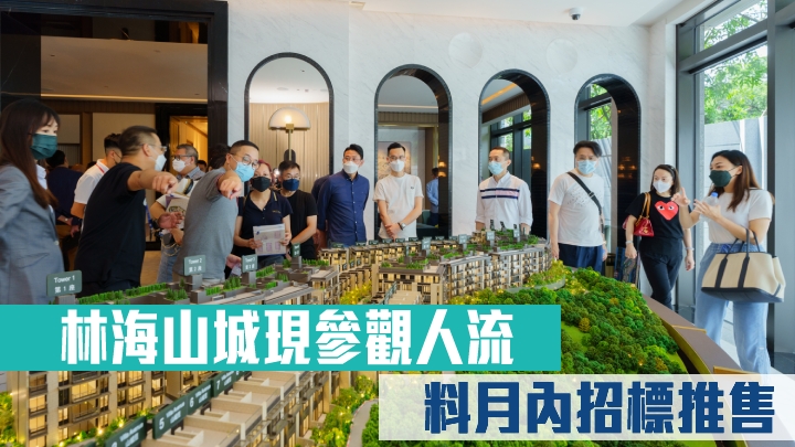 林海山城現參觀人流 料月內招標推售