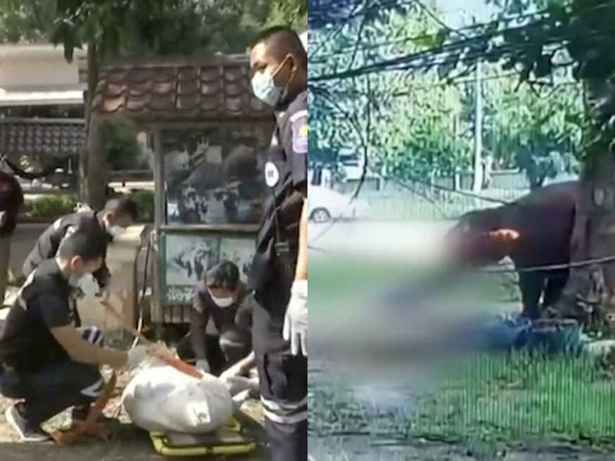 好心男子欲餵大象吃甘蔗,卻慘遭象鼻推倒狂踩骨折致死。(網圖)