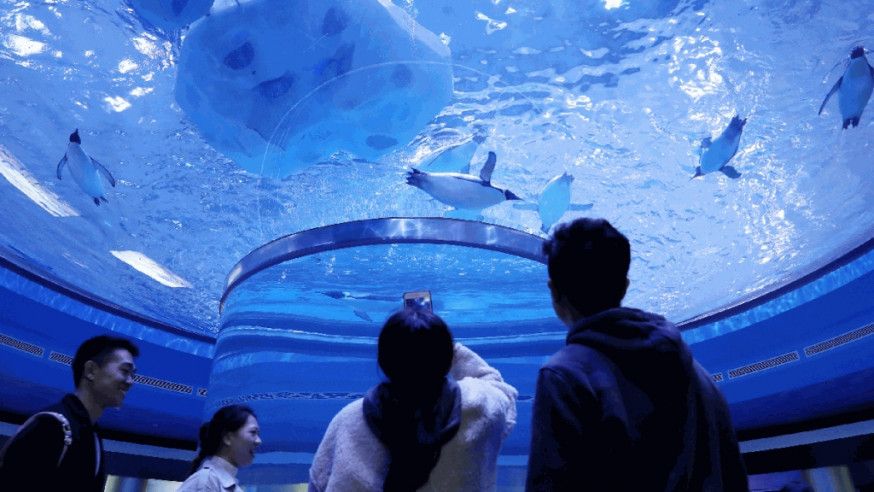 海昌海洋公園股價曾瀉75% 18度觸發市調機制 海昌:賣盤消息惡意造謠