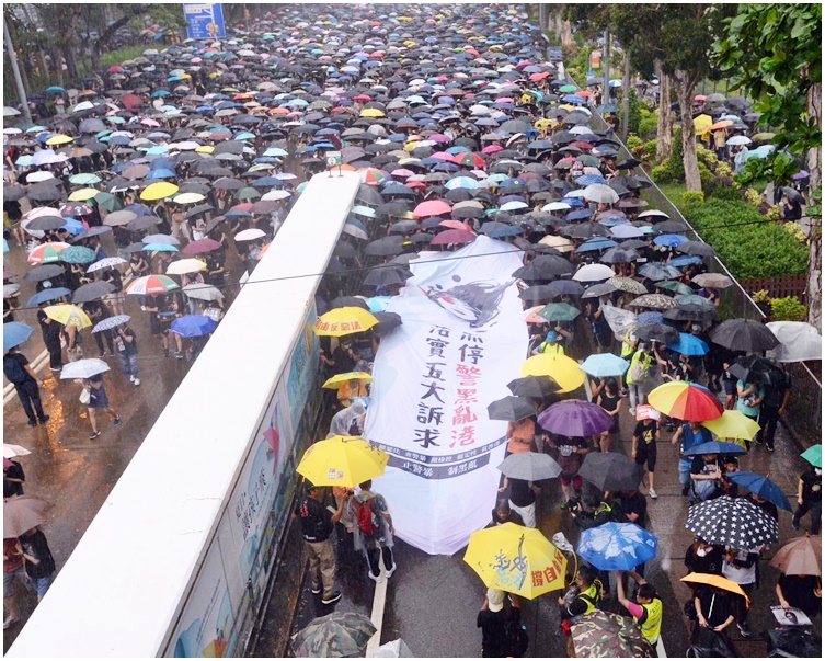 民調於8月18日,在民陣維園集會和透過網上問卷進行。