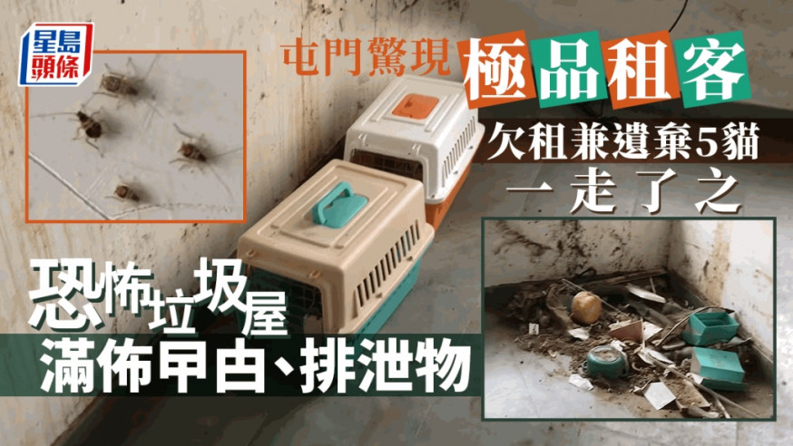屯門出現「極品租客」,屋內的衛生環境極差。「星星寵物。水族」fb