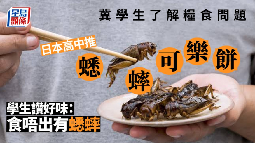 日本高中午餐加入營養價值高的蟋蟀 冀讓學生深入了解現代社會面臨的食物問題。 ISTOCK圖