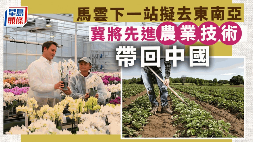 馬雲無意長居國外 冀將先進農業技術帶回中國