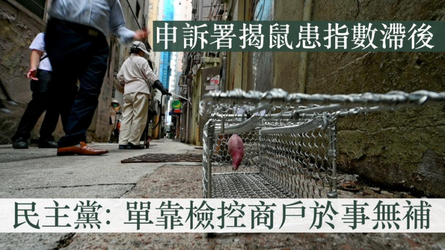 申訴專員公署今日發表對食物環境衞生署的滅鼠行動的詳細調查報告。資料圖片