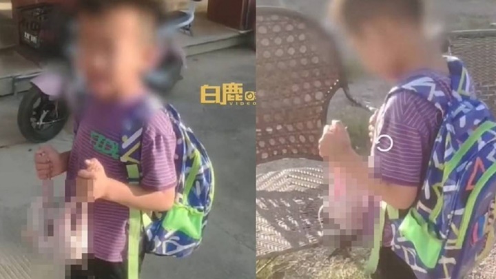 福建一男童驚見奶奶送的兔子被宰掉崩潰大哭。網上影片截圖