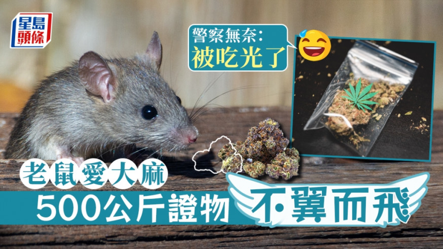 示意圖片