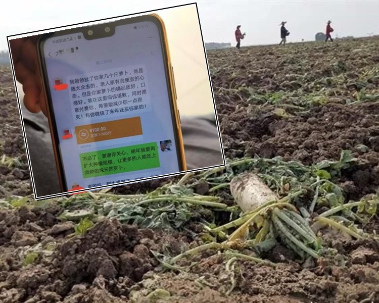 部分人向菜農道歉及轉款賠償損失。網圖