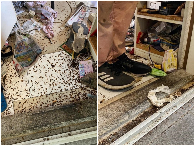 石硤尾邨竟驚現垃圾屋,不但整個單位都滿布曱甴及木蝨,而且還令鄰居都遭殃。FB圖片