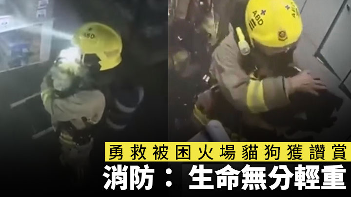 鐵漢柔情|勇救被困火場貓狗獲讚賞 消防: 生命無分輕重