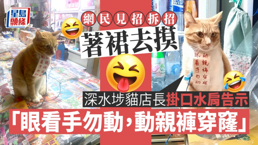 貓店長掛口水肩提醒「眼看手勿動,動親褲穿窿」。網圖