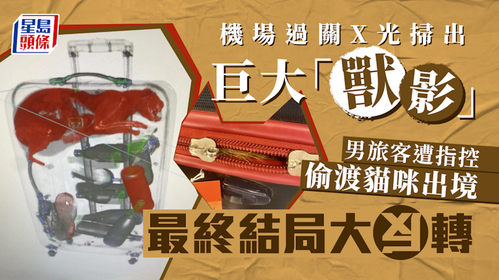 「貓兒」偷運出境? 機場X光掃出巨大「獸影」震驚關員 旅客卻說:不知貓從何來