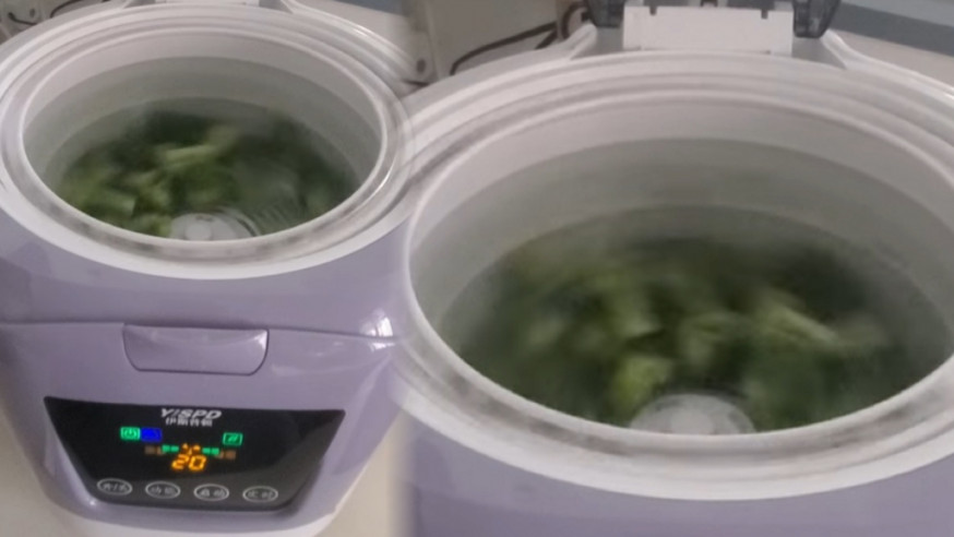 網民購買了一部洗菜機。「淘寶開心share」片段截圖