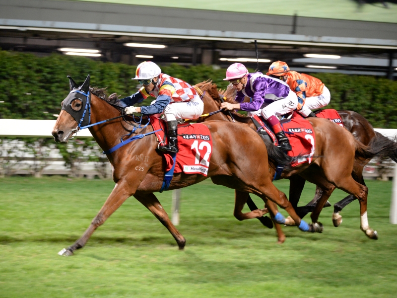 馬照跑 疫境勝出馬會投注額微跌4 5 頭條日報