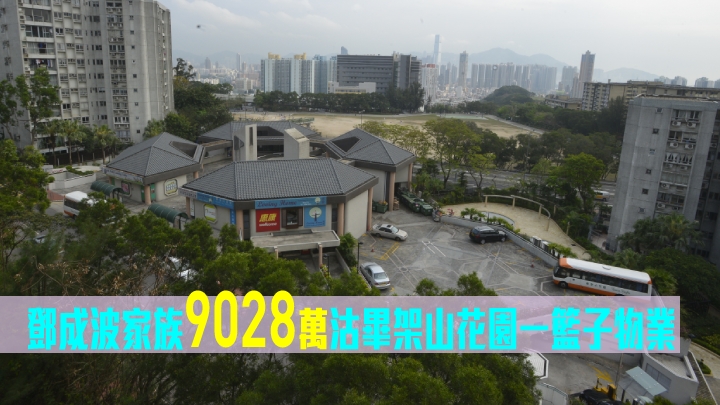 鄧成波家族9028萬沽畢架山花園一籃子物業。