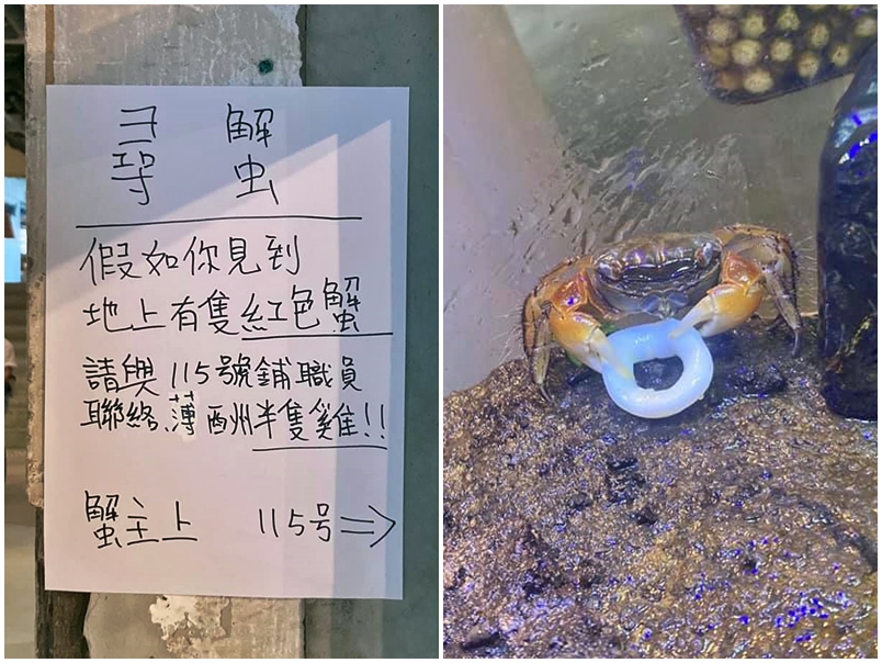 該餐廳貼出「尋蟹啟示」,並指協助尋回的話可獲「薄酬半隻雞」。「水門泰式海南雞飯專門店」FB圖片