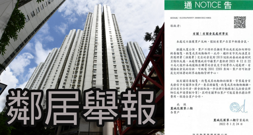 荃灣一個私人屋苑懷疑有住戶舉報鄰居飼養倉鼠。