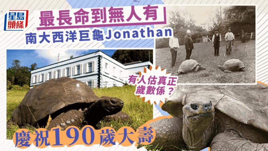 巨龜「喬納森」慶祝190歲生日。網圖