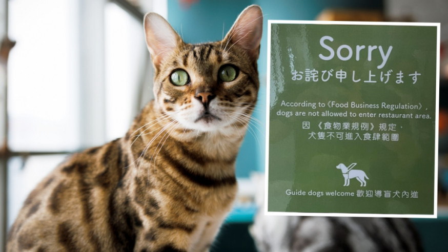 istock圖片(示意圖);細圖為FB圖片