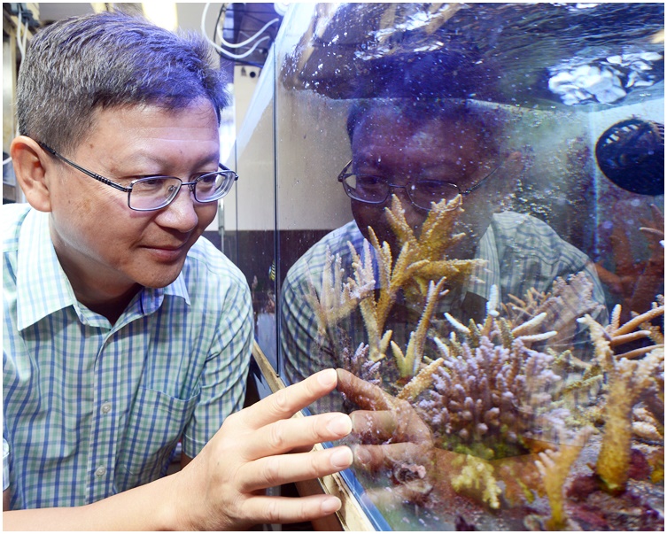 邱建文期望為海毛蟲等不美觀的海洋生物找出價值,維持本地生物多樣性。