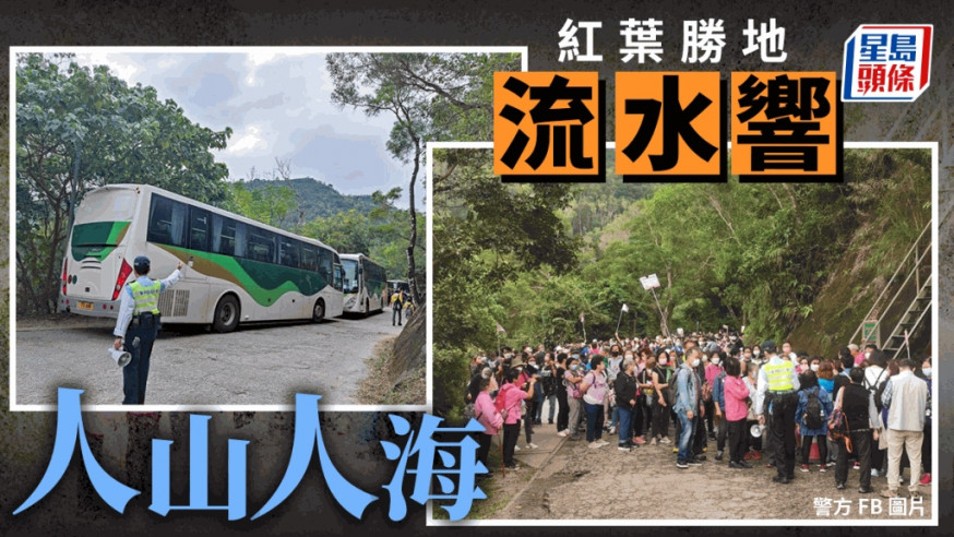 紅葉勝地流水響人山人海 警方籲市民盡量避免自駕(附交通指南)