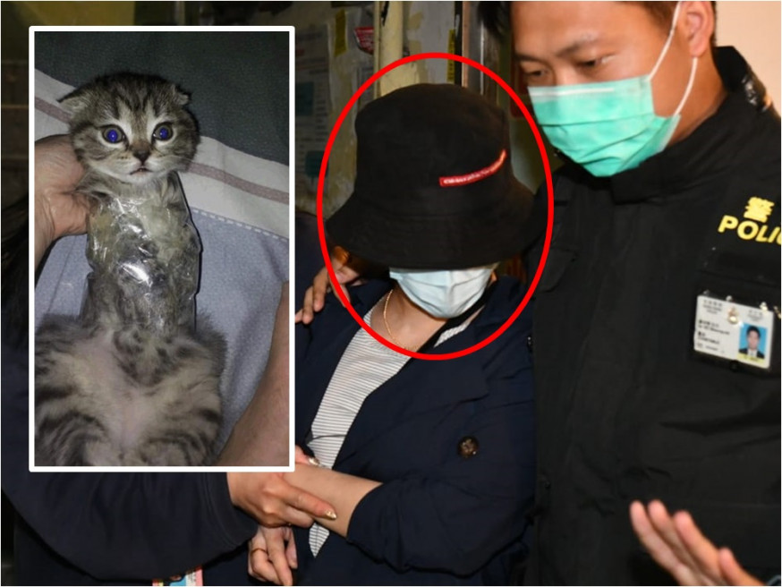 涉嫌虐待貓隻的女子被捕扣查。徐裕民攝