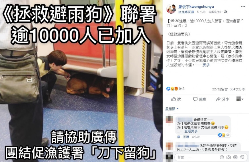 萬人聯署要求漁護署不要人道毁滅避雨狗狗。