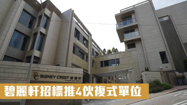 碧麗軒招標推4伙複式單位