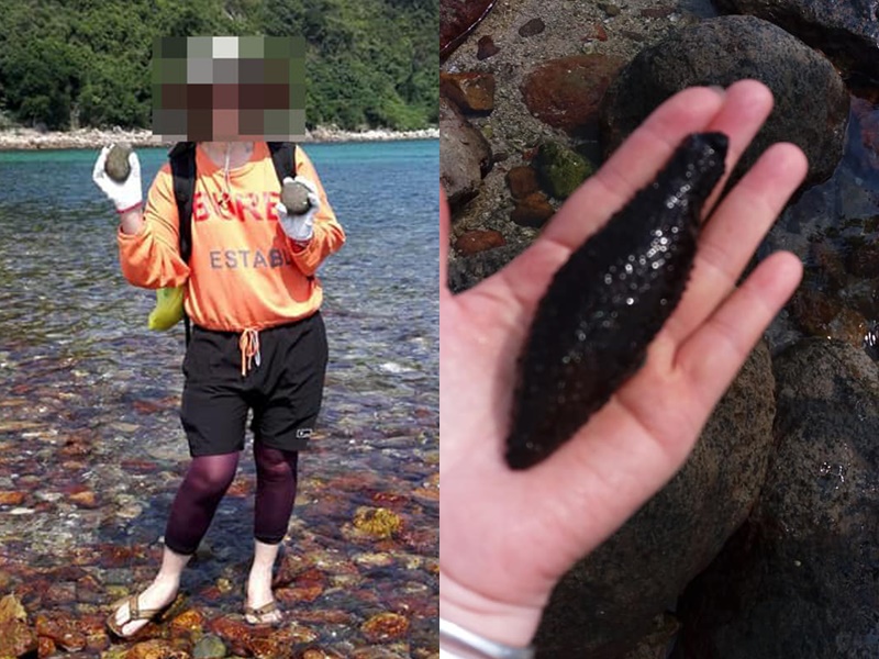 大媽橋咀島遠足挖海參遭鬧爆。香港行山遠足之友(吹水山谷)圖片