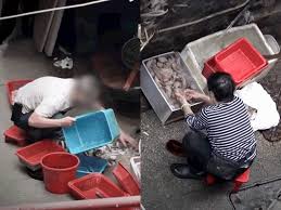 食肆經常被揭發於後巷處理食物,惹衞生關注。資料圖片