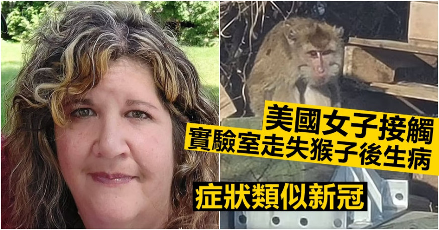 美國女子接觸實驗室走失猴子後生病,症狀類似新冠。網圖