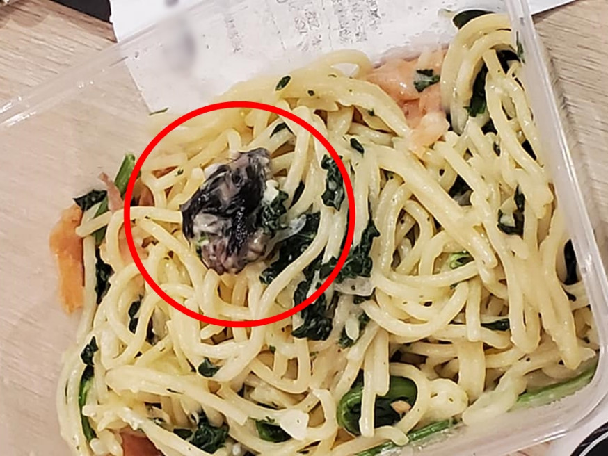 食環署證實薩莉亞長發分店一份外賣意粉樣本黑色肉,屬鼠類頭部。「青衣街坊吹水會」Facebook 群組相片