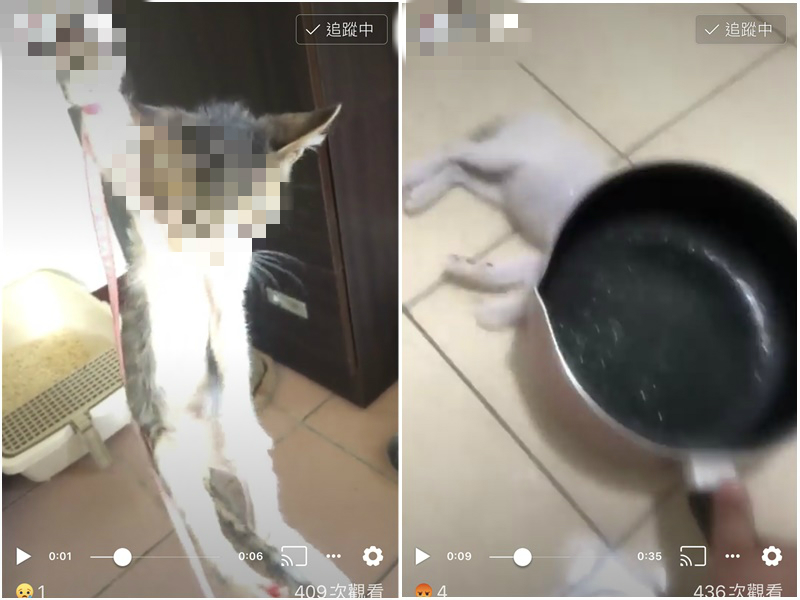 男子將貓活活打死。網上圖片
