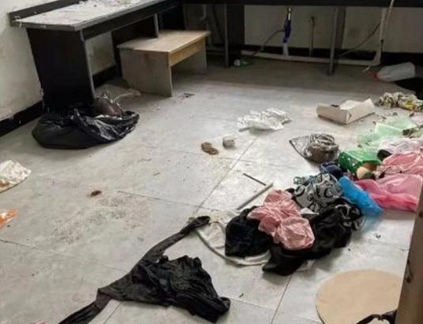 租客遺留大量垃圾房東起訴索賠50萬,引發熱議。