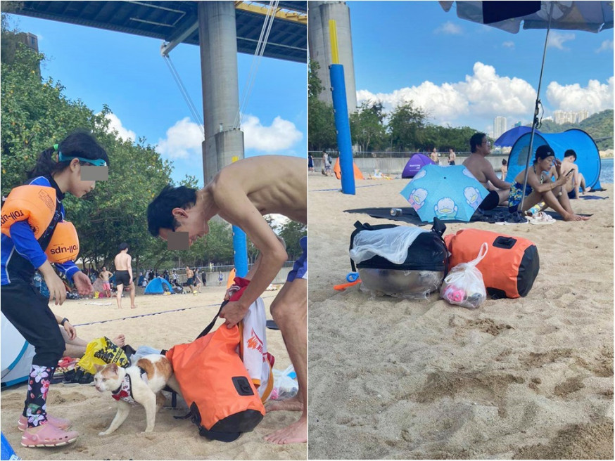 有主人帶貓貓到沙灘遊玩,但全程困牠在貓袋中。FB群組「天下貓貓一樣貓」圖片
