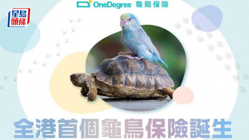 OneDegree推全港首個龜鳥保險 1歲至10歲可投保每年2988元