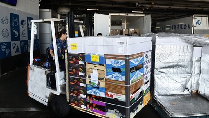 業界叫若,促當局「救救空運業、救救本港經濟」。資料圖片
