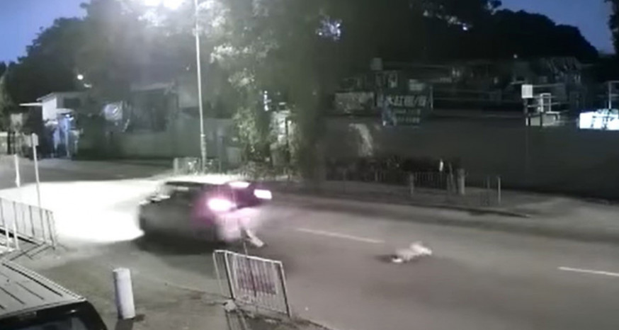 一輛私家車早前在洪水橋撞倒狗隻後未有即時停車。(片段截圖)