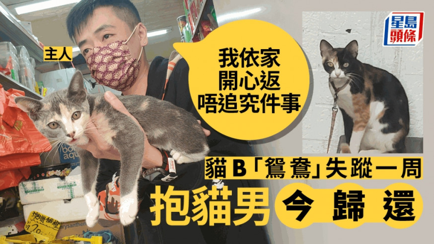 貓B「鴛鴦」失蹤一周 抱貓男今歸還 主人:「我依家開心返 唔追究件事」