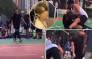 姜濤打籃球爭執片網上瘋傳 被壓在地上發怒咆哮洩憤 